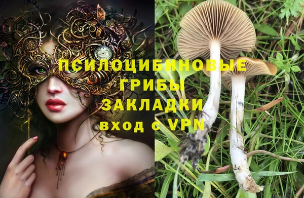 мескалин Балахна