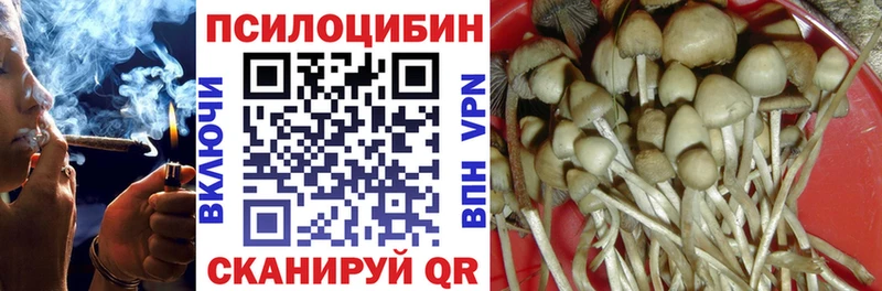 Галлюциногенные грибы Psilocybe  Купить  Вяземский 